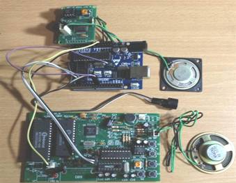 _m ICpin_say (大型)